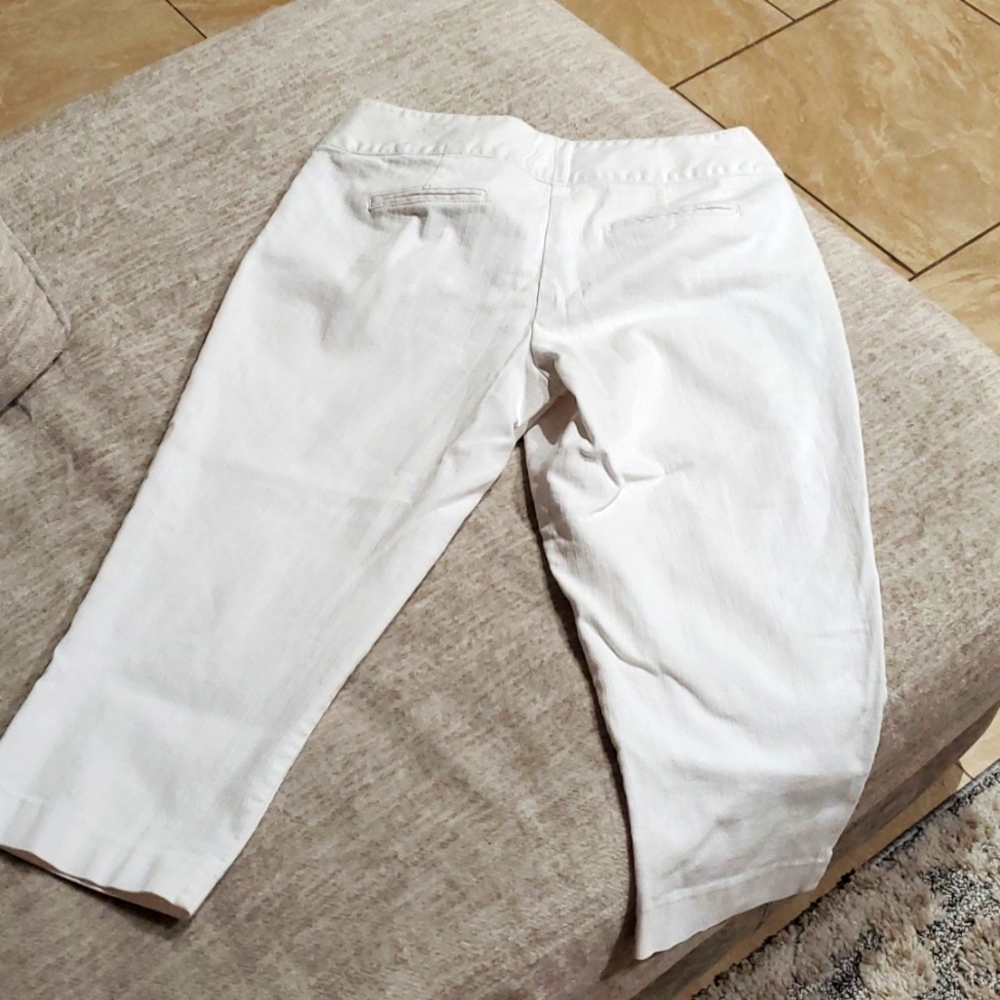 Capri Pant - Picture 4 of 4